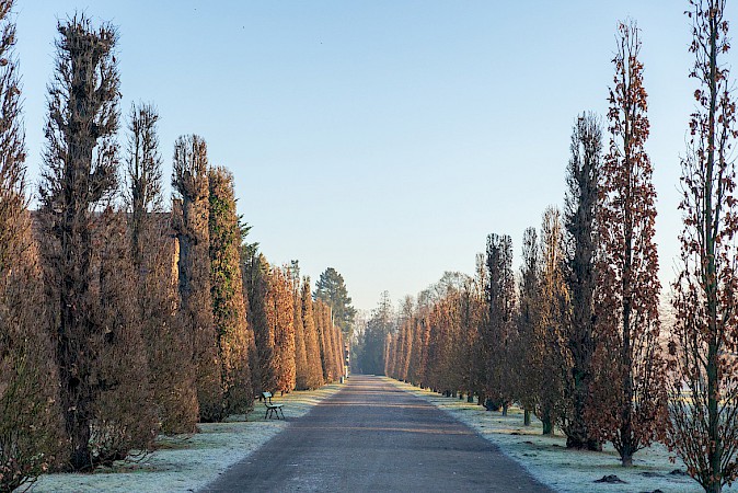 © Sabrina Bernhöft