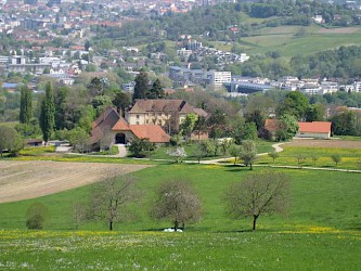 ©Marcus Hafner (alemannische-seiten.de)