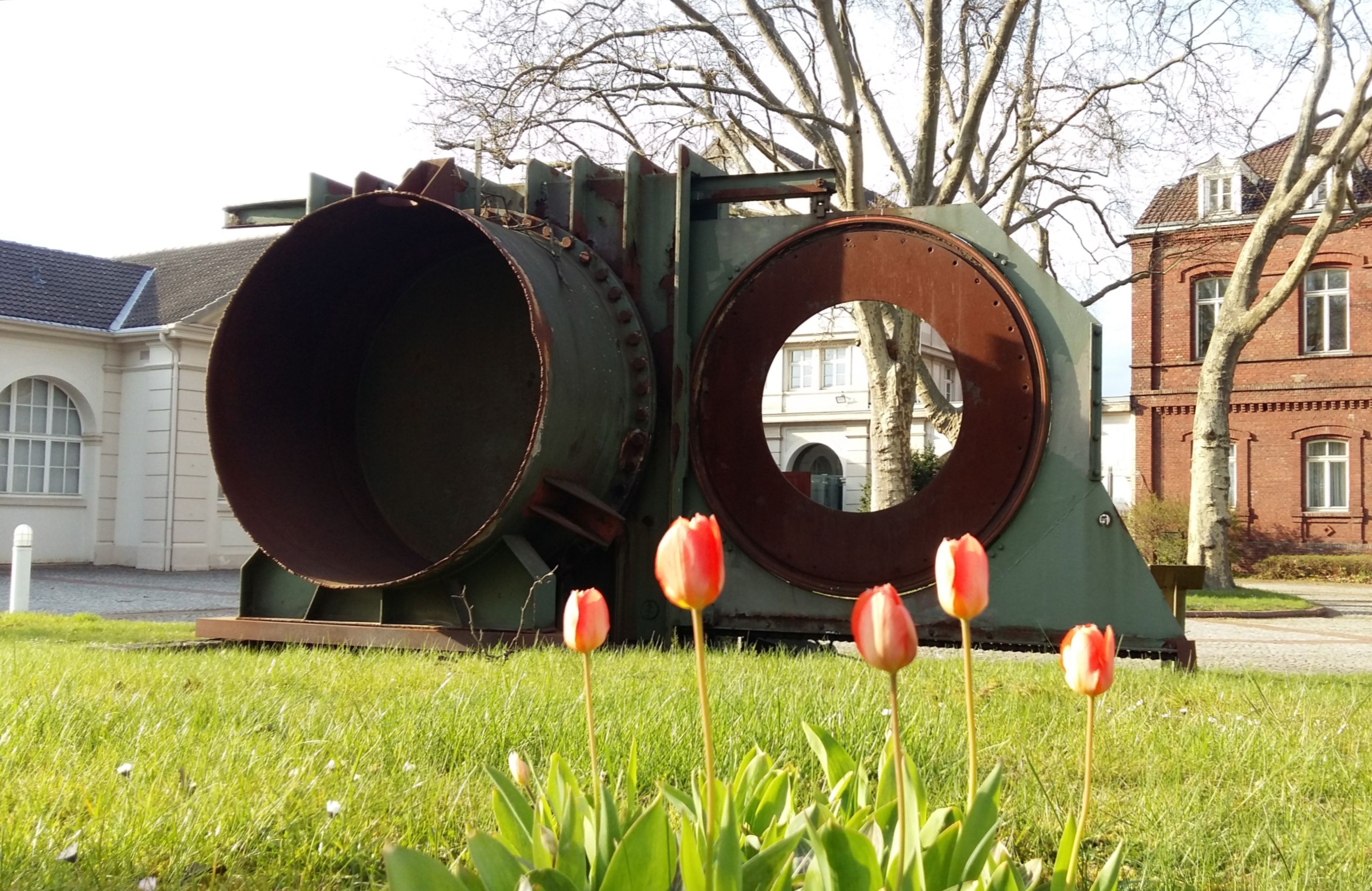 M Museum 2021 04_HM mit Tulpen_Foto Hoesch-Museum.jpg