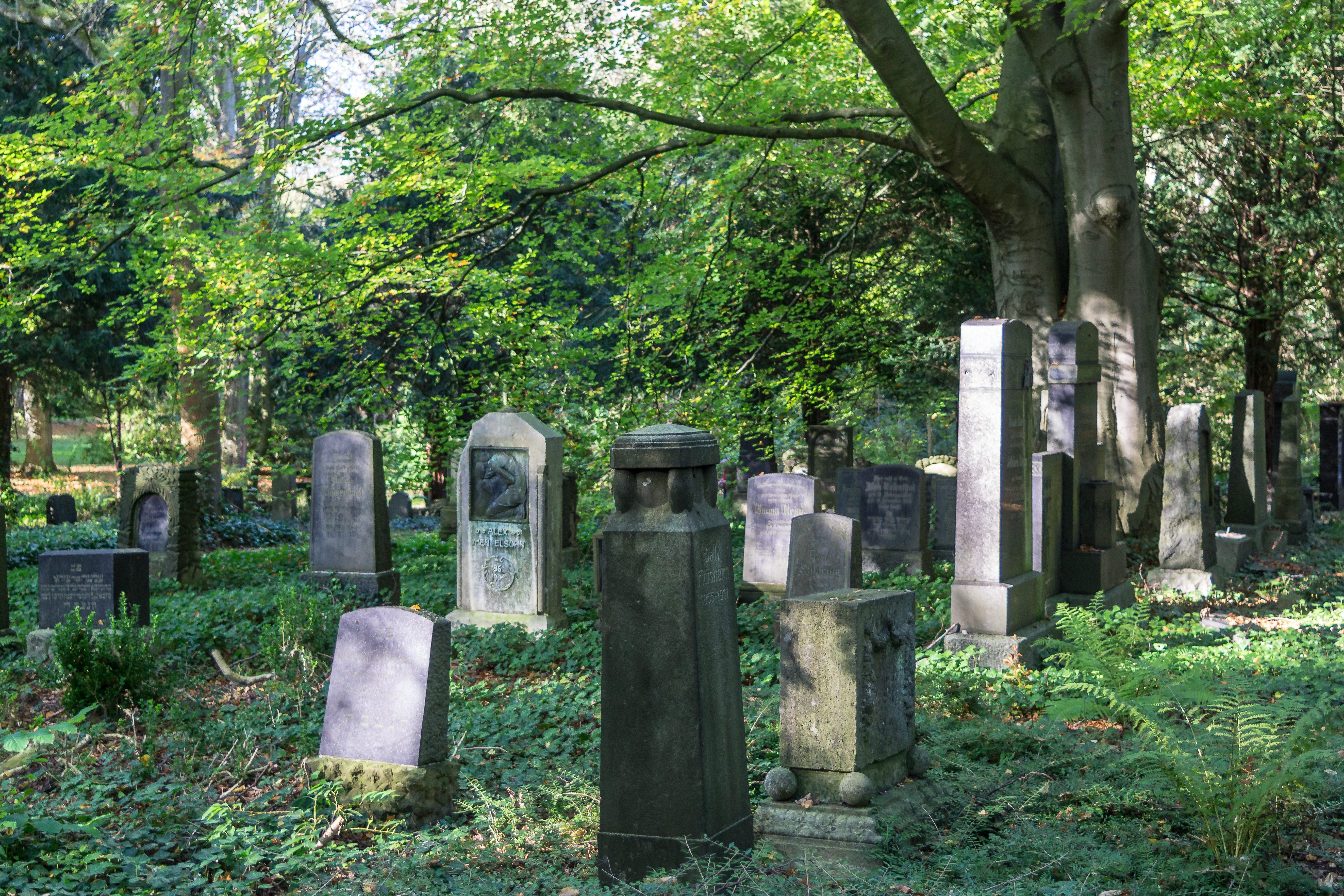 O_Ostfriedhof_Wikimedia-Rainer Halama.jpg